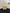 Chanel Trendy CC Vanity Leather Handbag - Yellow image 1