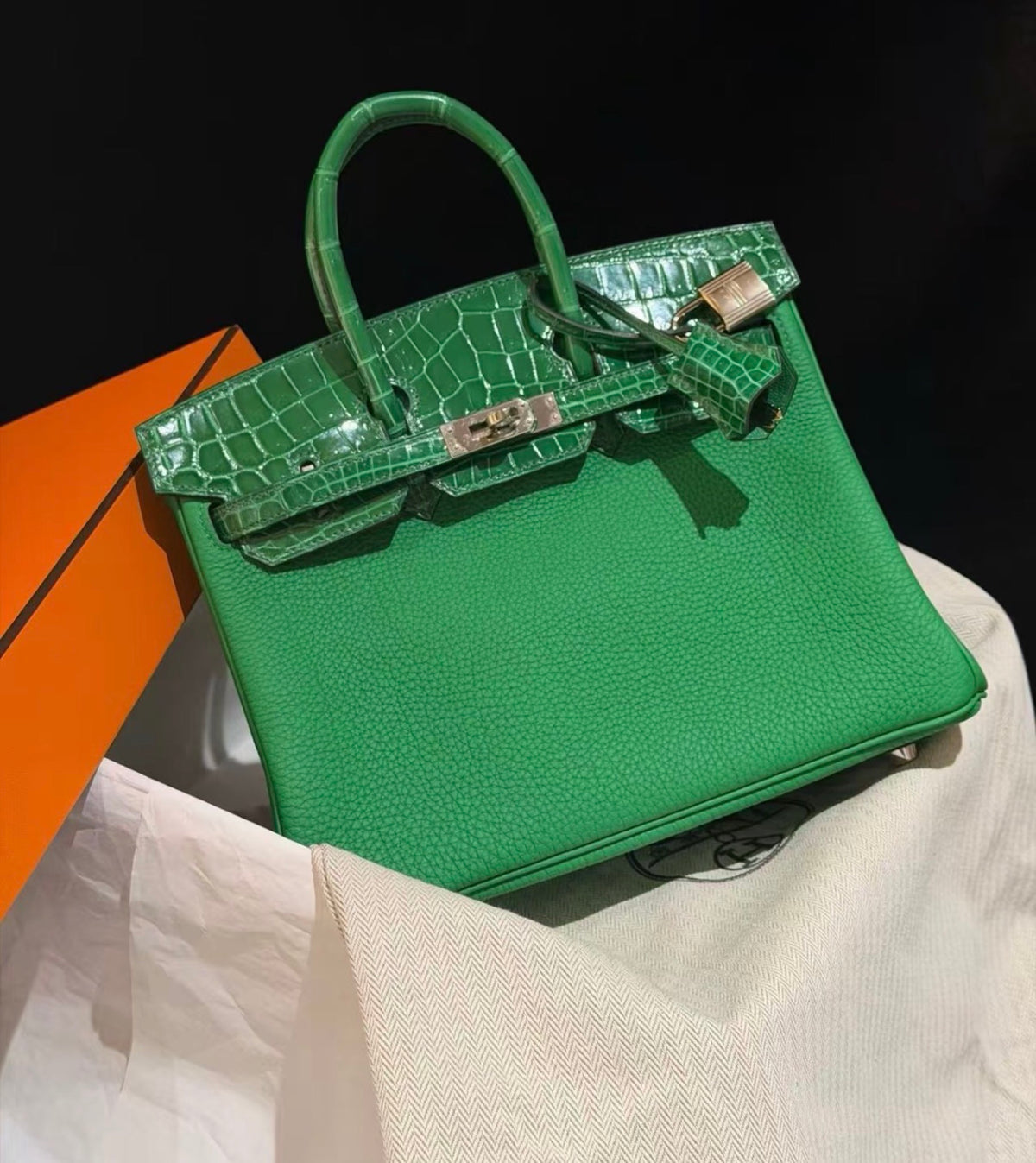 Hermès Birkin 25 Touch Bambou Togo & Vert Cactus Niloticus Crocodile PHW image 2