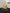 Chanel Trendy CC Vanity Leather Handbag - Yellow image 3