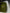 Hermès Birkin 25 Shiny Crocodile Porosus - Olive Green 6H image 4