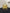 Chanel Trendy CC Vanity Leather Handbag - Yellow image 4