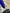 ST LOUIS Blue Champagne Flute image 5
