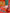 Hermes Festival des Amazones Silk Scarf 90 image 5