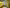 Dolce & Gabbana Yellow Floral Wool Dress image 6