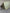 Louis Vuitton Silver Monogram Vernis Reade PM Bag image 7