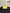 Chanel Trendy CC Vanity Leather Handbag - Yellow image 7