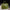 Hermès Birkin 25 Shiny Crocodile Porosus - Olive Green 6H image 8