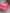 Chanel Boy Flap Bag Pink image 9