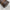 Louis Vuitton Papillon 26 Canvas Bag image 9