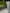 Hermès Birkin 25 Shiny Crocodile Porosus - Olive Green 6H image 9