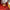 Louis Vuitton Neverfull MM Monogram Red Interior Tote Bag image 9