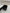 Chanel Mini Embellished Tweed Vanity Case - Black / Multicolor image 9