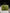 Hermès Birkin 25 Shiny Crocodile Porosus - Olive Green 6H image 10