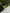 Hermès Birkin 25 Shiny Crocodile Porosus - Olive Green 6H image 11
