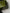 Hermès Birkin 25 Shiny Crocodile Porosus - Olive Green 6H image 12
