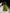 Hermès Birkin 25 Shiny Crocodile Porosus - Olive Green 6H image 15