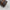 Louis Vuitton Papillon 26 Canvas Bag image 17