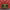 Chanel Boy Medium Flap Bag Red image 20