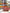 Hermès Birkin 30 Epsom Leather Brick Red with Orange Interior - Palladium Hardware