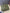 Hermès Birkin 35 Vert Olive Togo Leather Gold Hardware Q Stamp