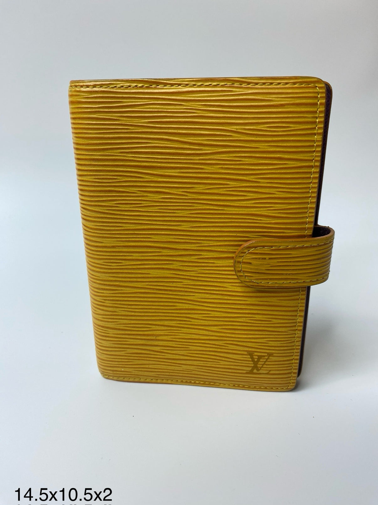 Louis Vuitton Epi six-ring agenda cover main image
