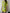 IT 38 FENDI Lime Green Wool dress