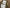 Size 36 - Miu Miu Gabardine Epaulette Military Blouson Bomber Jacket